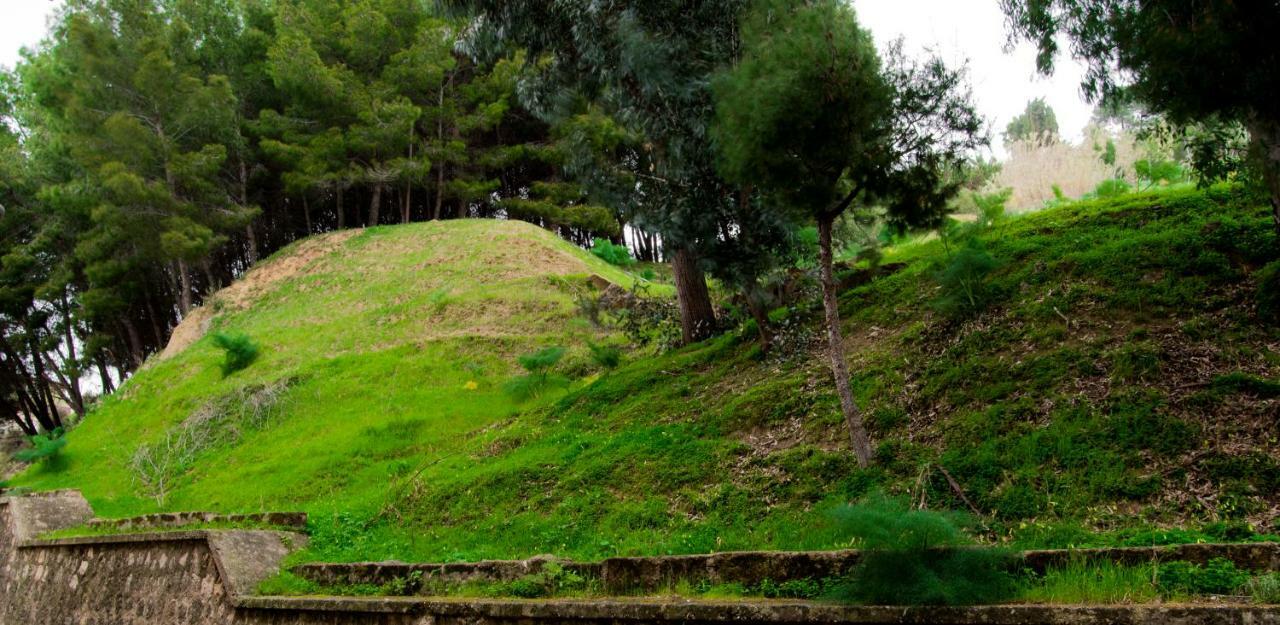 Antica Akragante Apartment Agrigento Con Parcheggio Εξωτερικό φωτογραφία